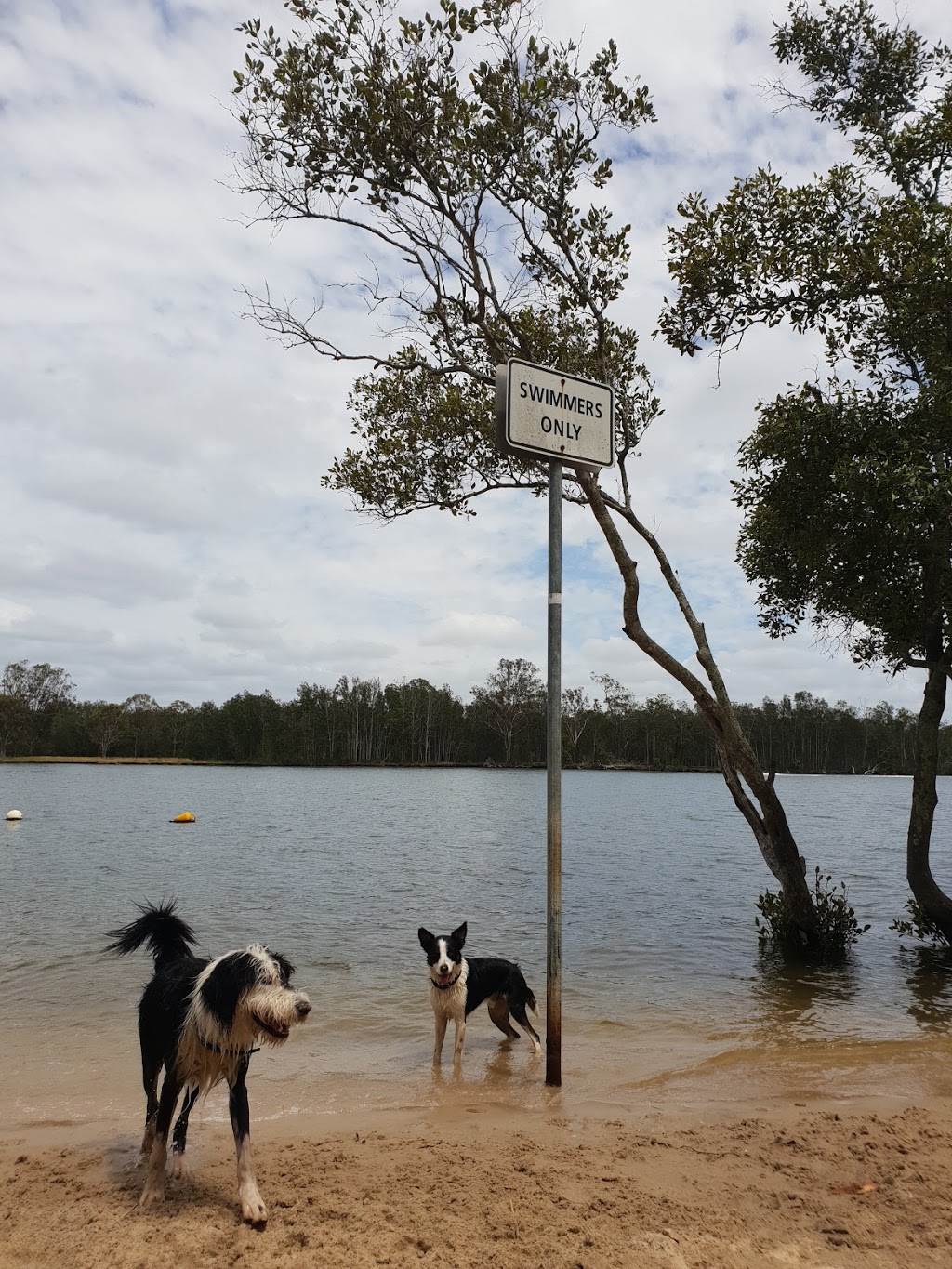 Charles Holm Park | park | Pinnaroo St, Hope Island QLD 4212, Australia