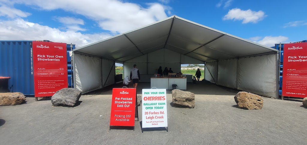 Naturipe Fruits - Bacchus Marsh Strawberry Farm | 534 Bacchus Marsh Rd, Bacchus Marsh VIC 3340, Australia | Phone: 0419 340 363