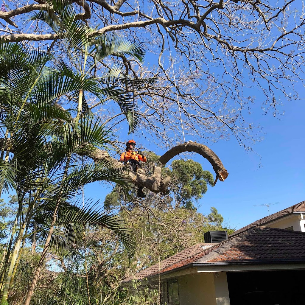 Tree Care Specialists |  | 79 Normanhurst Rd, Boondall QLD 4034, Australia | 0431176152 OR +61 431 176 152