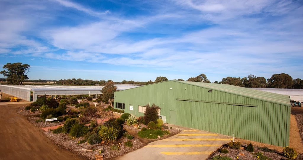 Mansfield Propagation Nursery | 150 Taylors Rd, Skye VIC 3977, Australia | Phone: (03) 9782 2404