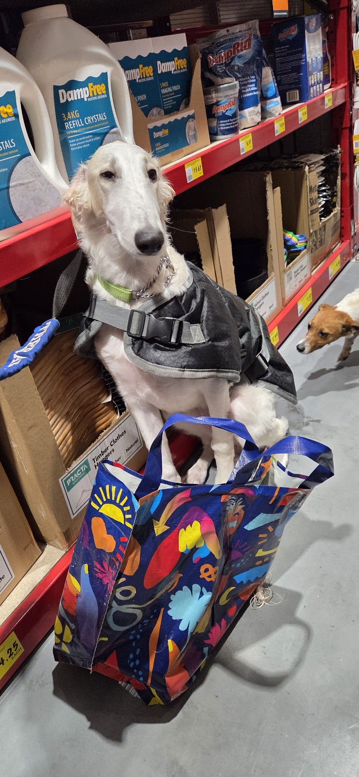 Bunnings Portland | Henty Hwy &, New St, Portland VIC 3305, Australia | Phone: (03) 5523 8900