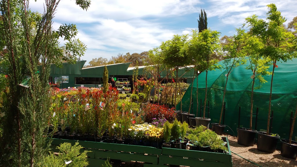 Cost Less Plants | store | 7-11 Seaview Rd, Yatala Vale SA 5126, Australia | 0882893393 OR +61 8 8289 3393