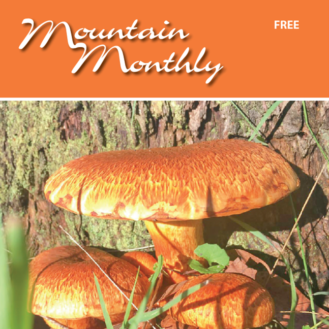 Mountain Monthly - The Ranges News |  | Kinglake VIC 3763, Australia | 0458625132 OR +61 458 625 132