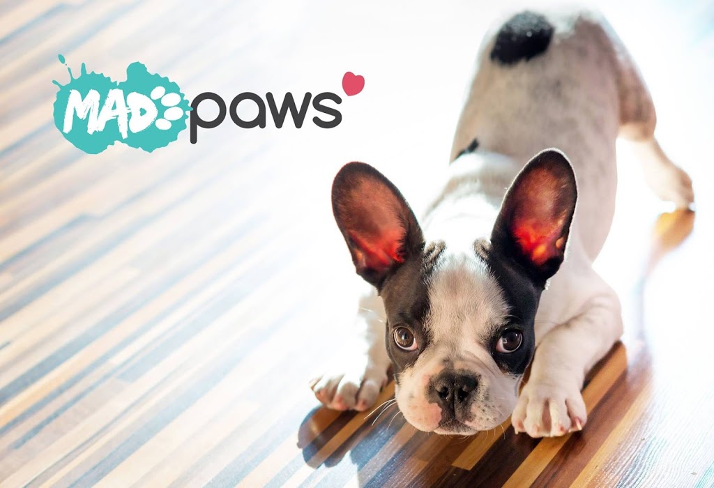 Mad Paws Bec | Vickers St, Littleton NSW 2790, Australia | Phone: 0403 048 416