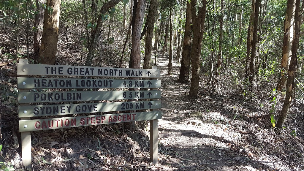 Great North Walk Track | park | 16 Robinson Rd, Somersby NSW 2250, Australia
