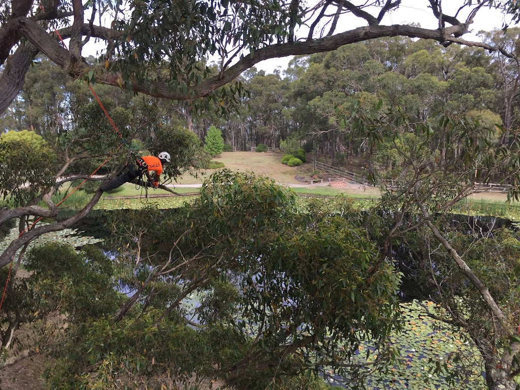 Grandview Tree Care | general contractor | 2b Pinehill Dr, Pakenham VIC 3810, Australia | 1800560875 OR +61 1800 560 875