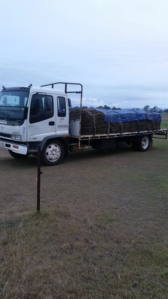 Ipswich Turf Supplies | 54 Hanrahan Rd, Coominya QLD 4311, Australia | Phone: 0407 752 158