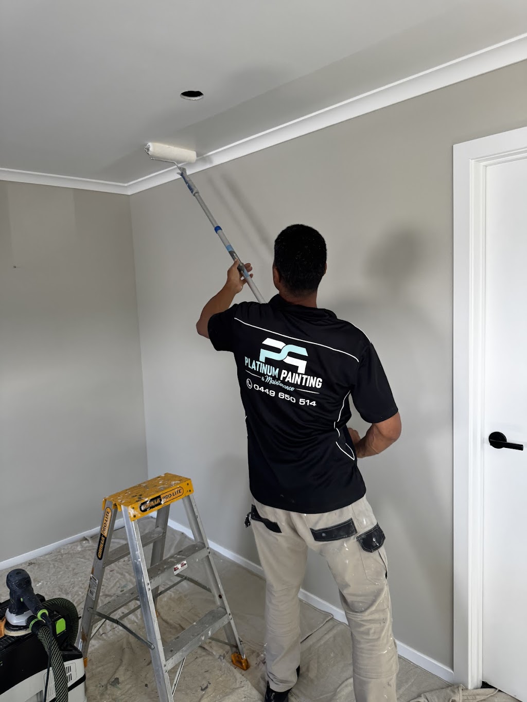 Platinum Painting & Maintenance | Unit 31/8 Spit Island Cl, Mayfield West NSW 2304, Australia | Phone: 0449 650 514