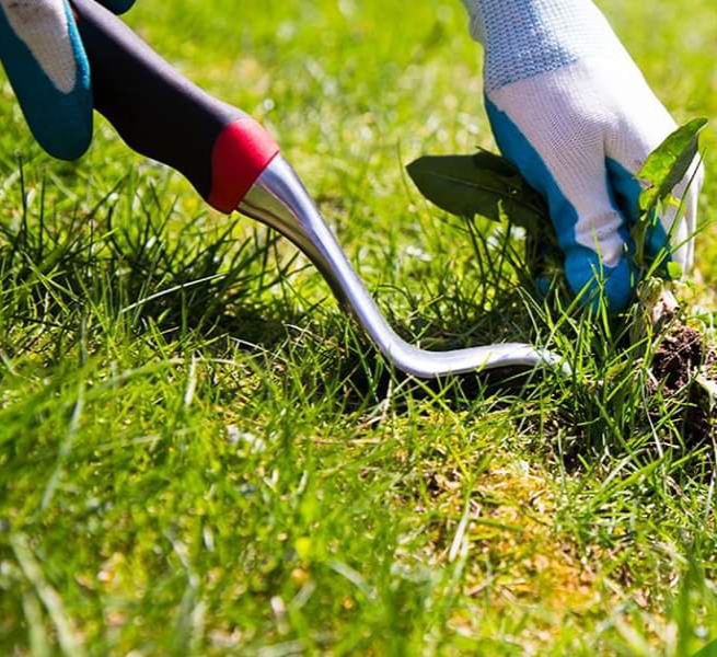 Advanced Mowing | 150 Scobie Cres, Bellambi NSW 2518, Australia | Phone: 0458 366 944