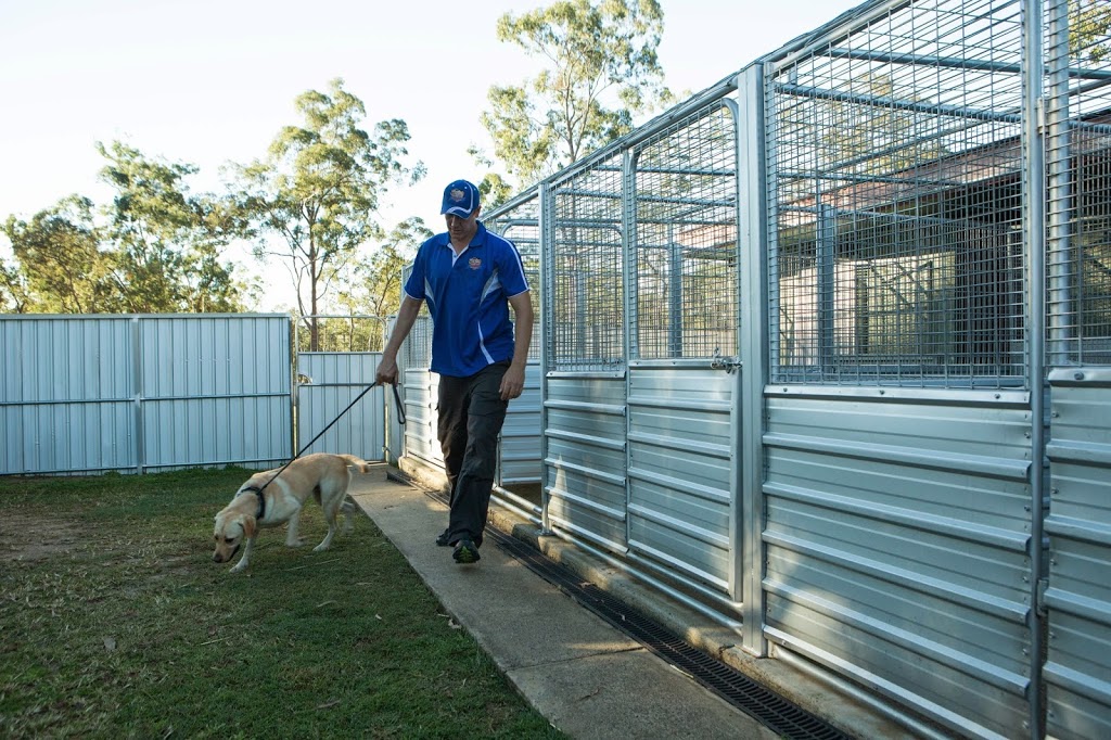 Excel Dog Training | 111 Attunga Rd, Greenbank QLD 4124, Australia | Phone: 0404 122 684