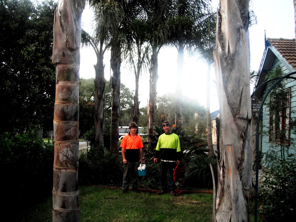 Adelaides Affordable Tree Removal Tree Removal Adelaide |  | 350 Bains Rd, Onkaparinga Hills SA 5163, Australia | 0883253137 OR +61 8 8325 3137