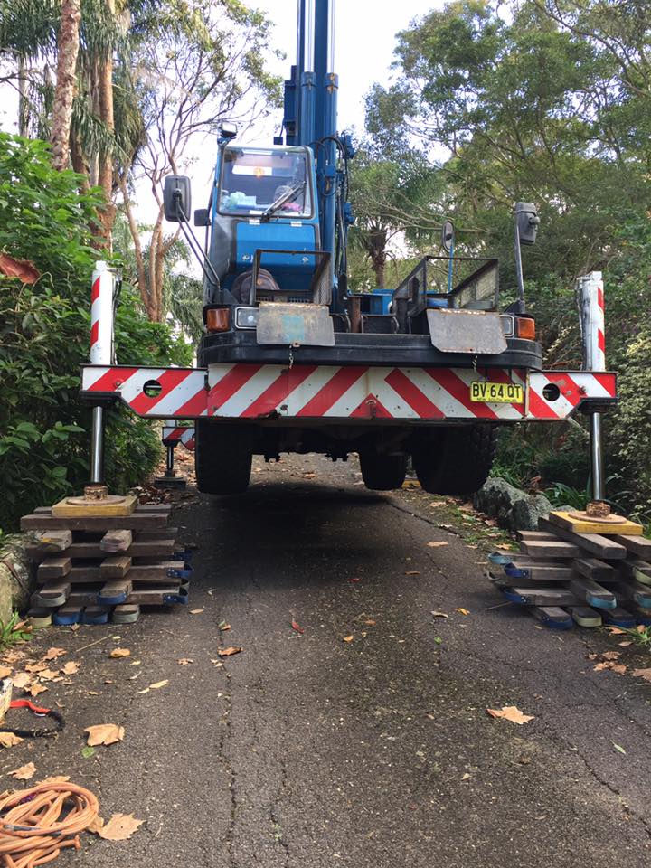 Newcastle Cranes | 50 Mitchell Rd, Cardiff NSW 2285, Australia | Phone: (02) 4961 5777