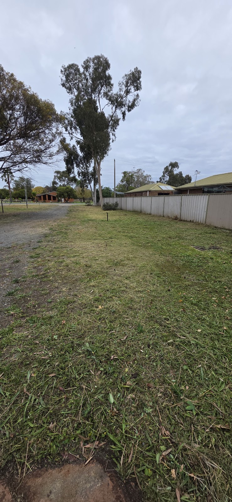 Finns Mowing & Lawn Service | 37 Campbell St, Numurkah VIC 3636, Australia | Phone: 0478 651 618