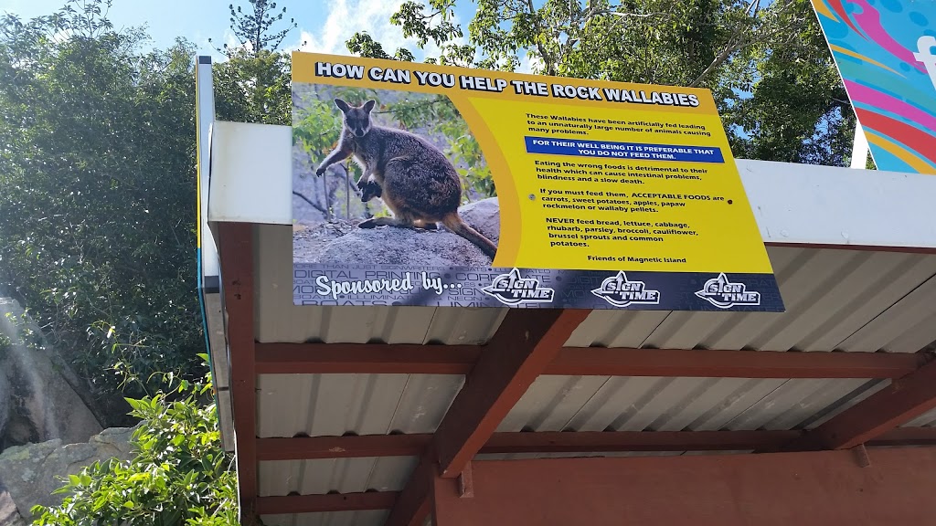 Rock Wallabies | tourist attraction | Magnetic Island, LOT 27 Marine Parade, Magnetic Island QLD 4819, Australia | 0478575330 OR +61 478 575 330