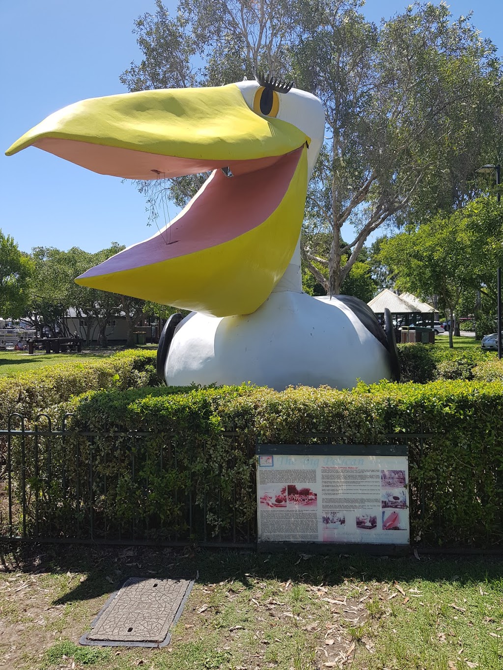 The Big Pelican | museum | 180 Gympie Terrace, Noosaville QLD 4565, Australia | 0754497239 OR +61 7 5449 7239