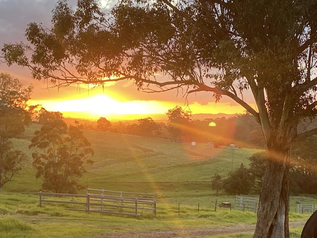 Wynola Country Cousins | 586 Condamine River Rd, Killarney QLD 4373, Australia | Phone: 0419 866 268