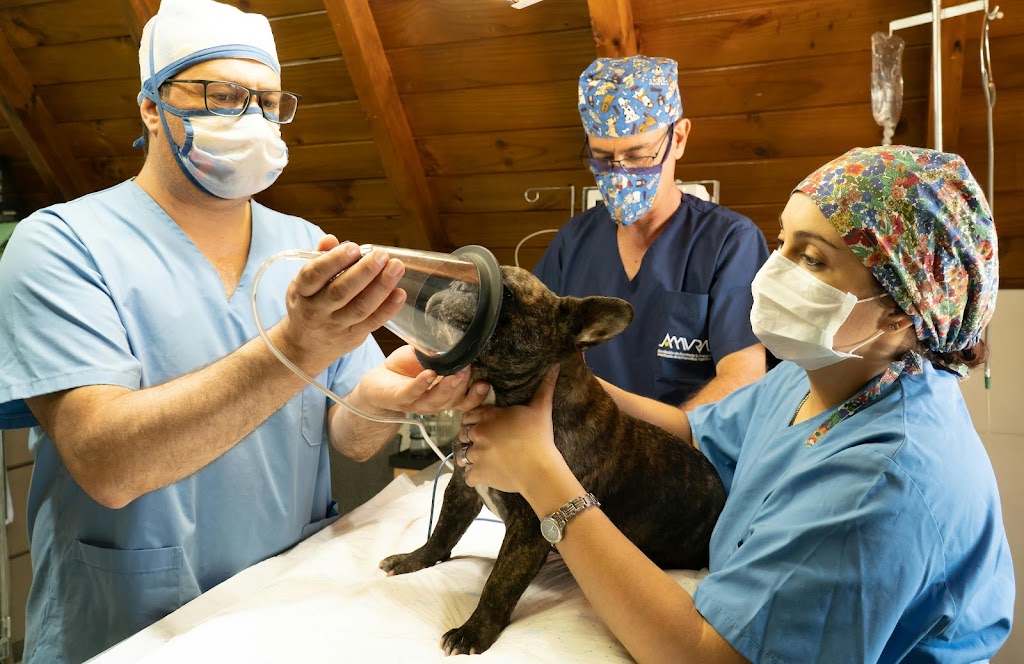 Samford Emergency & Day Vets 24/7 | 1 Serendipity Dr, Samford Valley QLD 4520, Australia | Phone: (07) 3289 9073