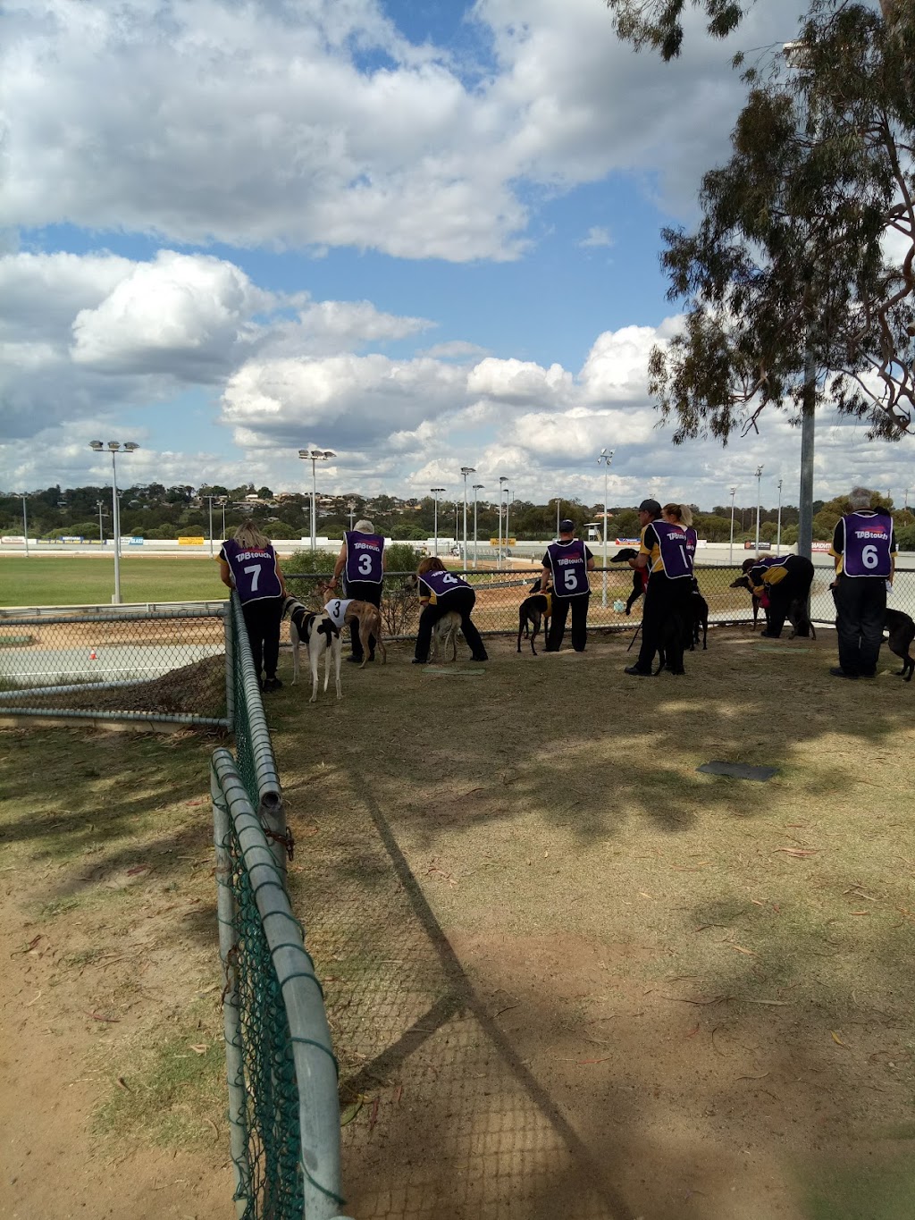 Avon Valley Greyhound Racing Association | Burwood Park Clarke St, Northam WA 6401, Australia | Phone: (08) 9622 5794