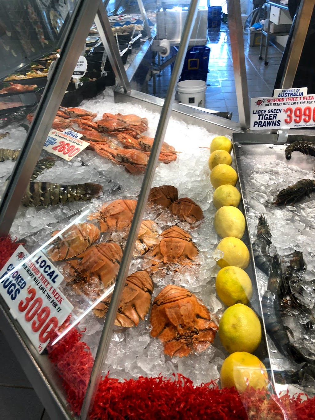 Nelson Bay Fish Market | supermarket | 12 Teramby Rd, Nelson Bay NSW 2315, Australia | 0249813330 OR +61 2 4981 3330