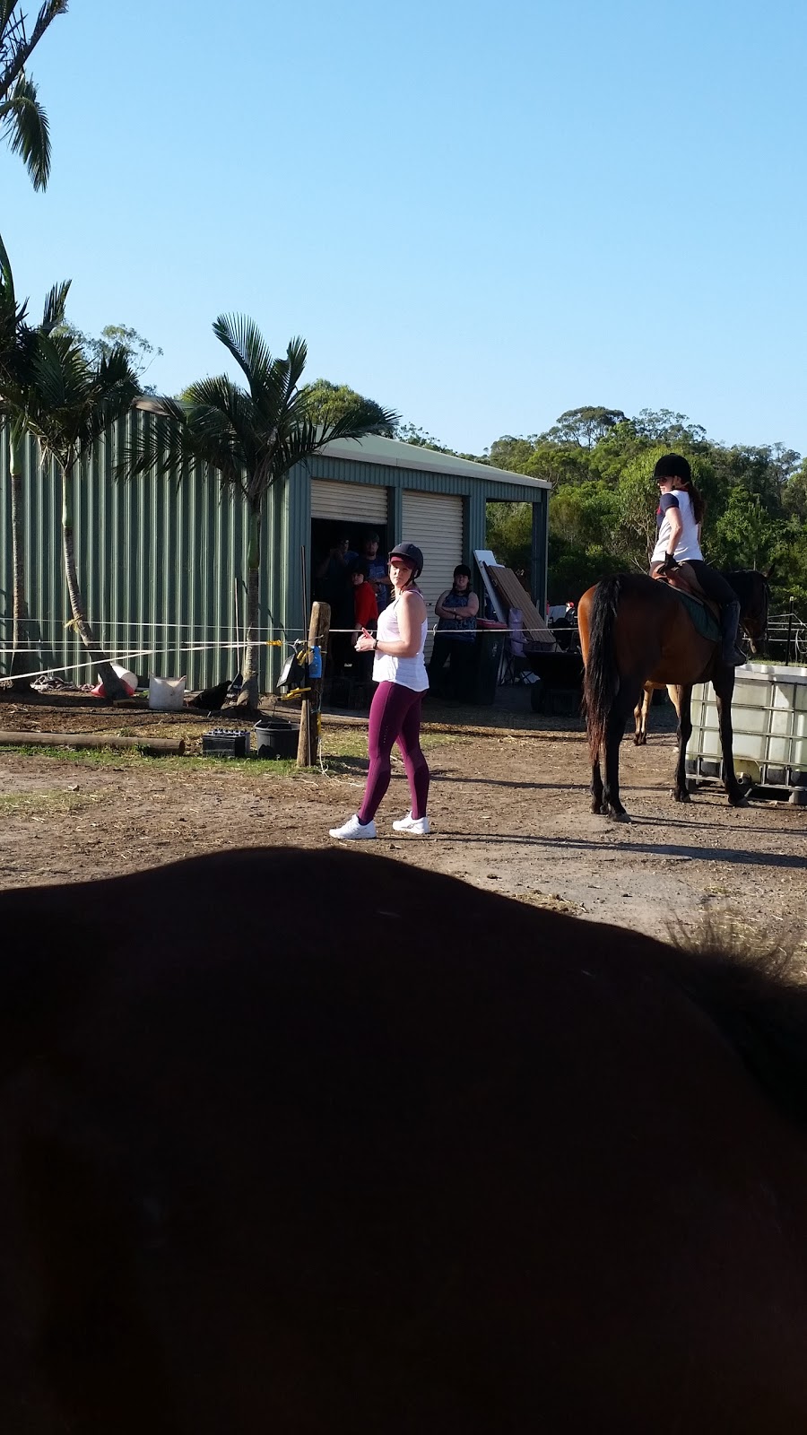 Bluemax Kennels | 755 Mount Cotton Rd, Sheldon QLD 4156, Australia | Phone: (07) 3206 4236