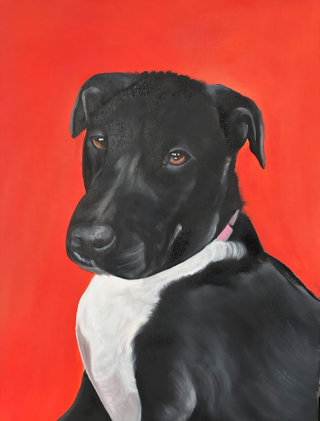 pinot-pet-casso | The Piazza, Wentworth Point NSW 2127, Australia | Phone: 0410 577 619