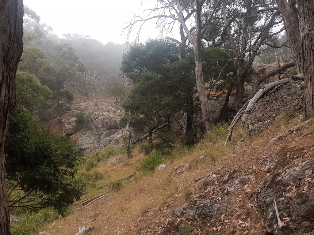 Viewing Platform | park | Riddells Creek VIC 3431, Australia