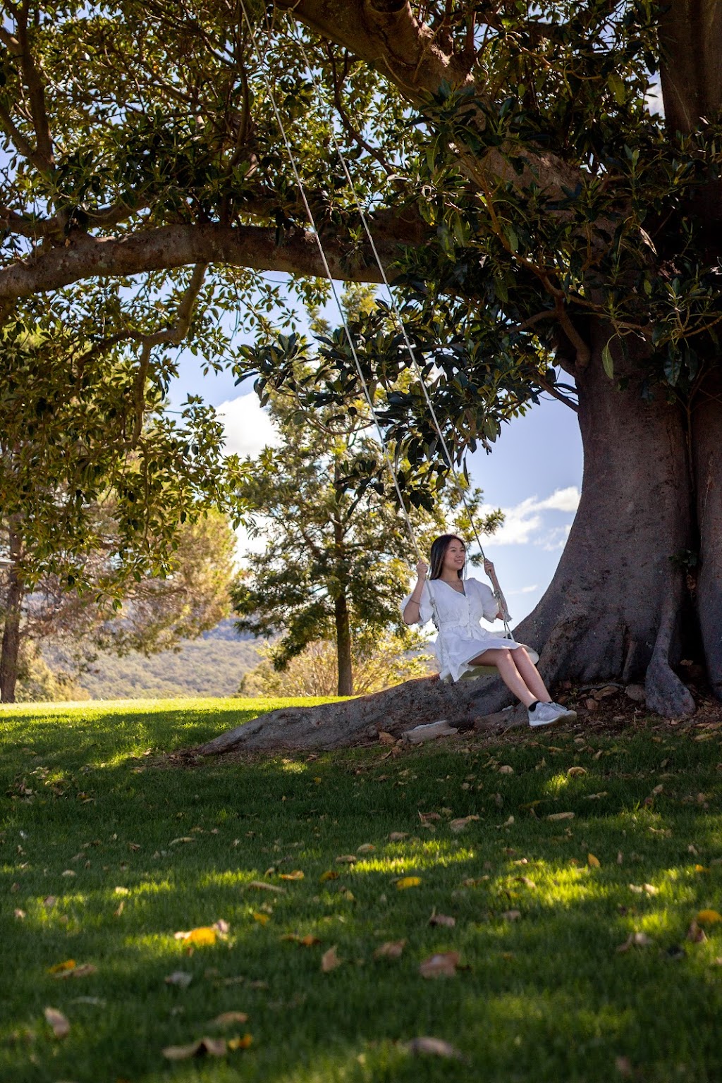 Fig Tree at Ben Ean | 673H+HG, Pokolbin NSW 2320, Australia | Phone: (02) 4993 3700