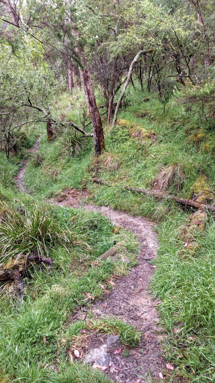 Queenstown Cemetery | cemetery | Smiths Gully VIC 3760, Australia