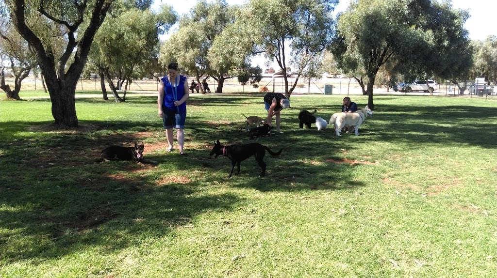 Renmark Dog Park | park | 11/19 Cook St, Renmark SA 5341, Australia