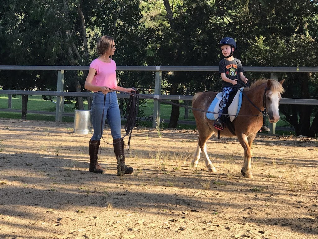 Empress Equine | 88 Kindra Ave, Karana Downs QLD 4306, Australia | Phone: 0423 275 615