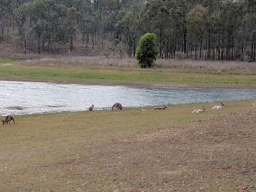 Captain Logans Camp Recreation Area | park | Lake Wivenhoe QLD 4312, Australia