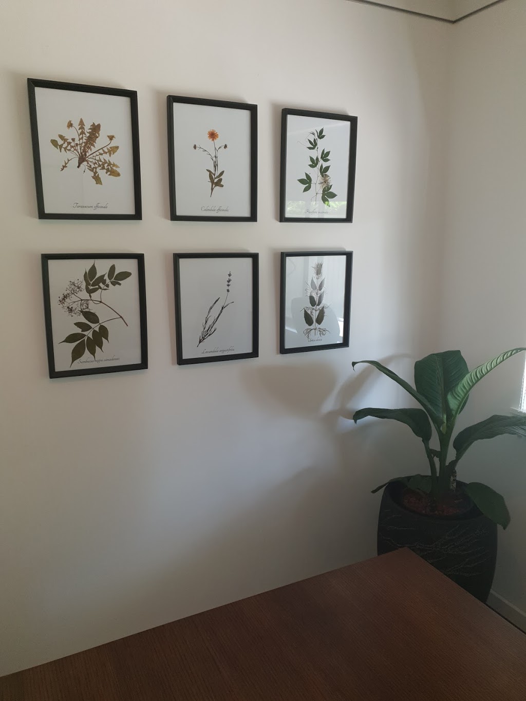 My Family Naturopath | 28 Carrywell Cres, Toormina NSW 2452, Australia | Phone: 0434 597 495