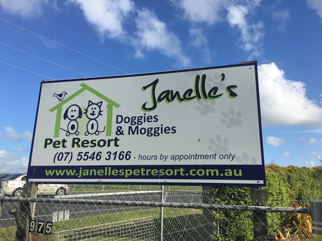 Janelles Doggies and Moggies Pet Resort |  | 975 Chambers Flat Rd, Chambers Flat QLD 4133, Australia | 0755463166 OR +61 7 5546 3166