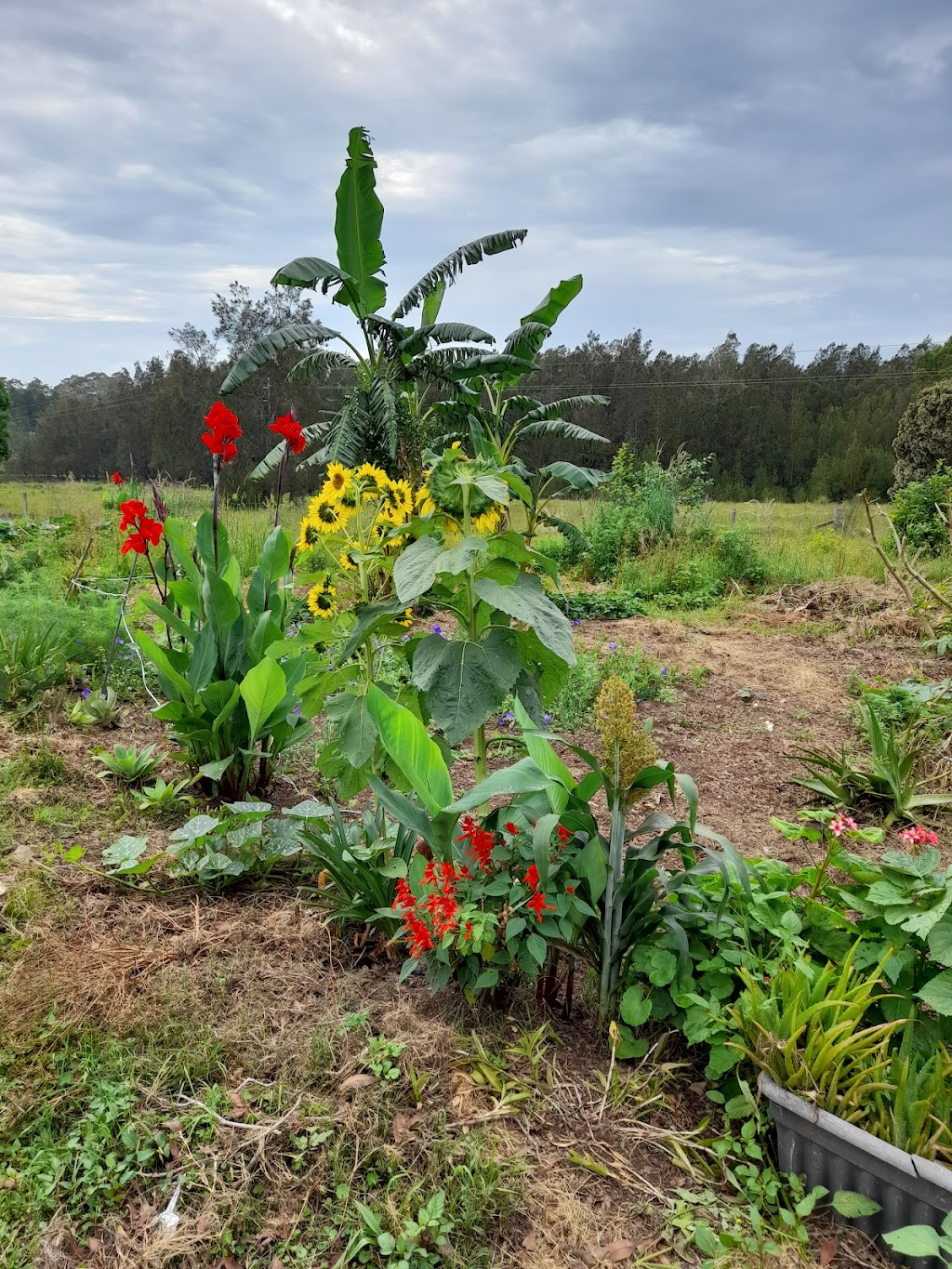 Korean Christian community church incorporated | 29 Brimbin Rd, Brimbin NSW 2430, Australia | Phone: 0430 365 100