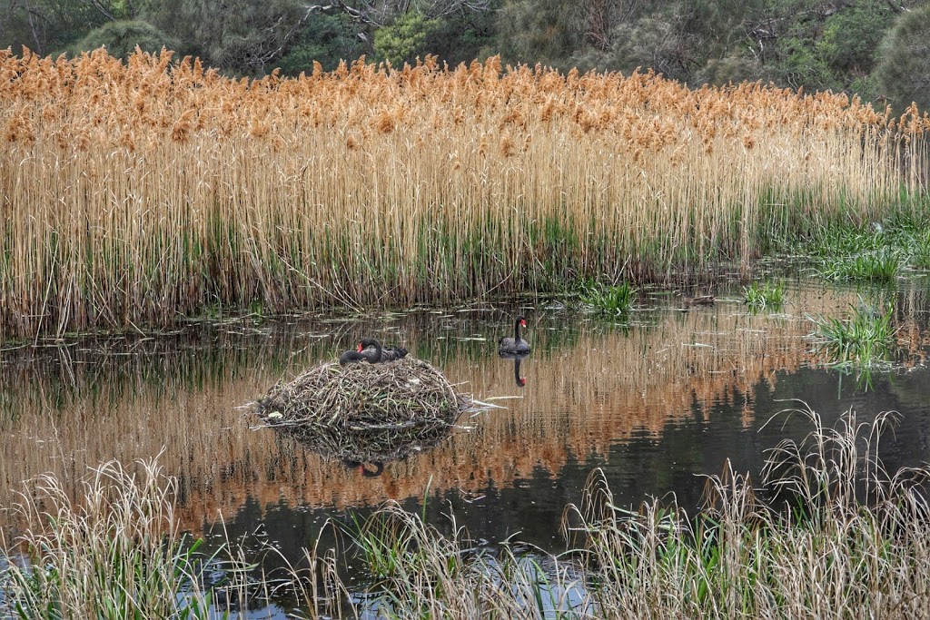 Otago Lagoon Reserve | Otago TAS 7017, Australia