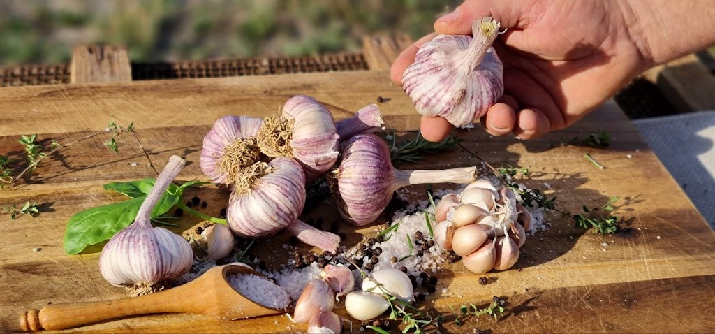 Hoddles Creek Garlic | 485 Lusatia Park Rd, Hoddles Creek VIC 3139, Australia | Phone: 0428 547 161