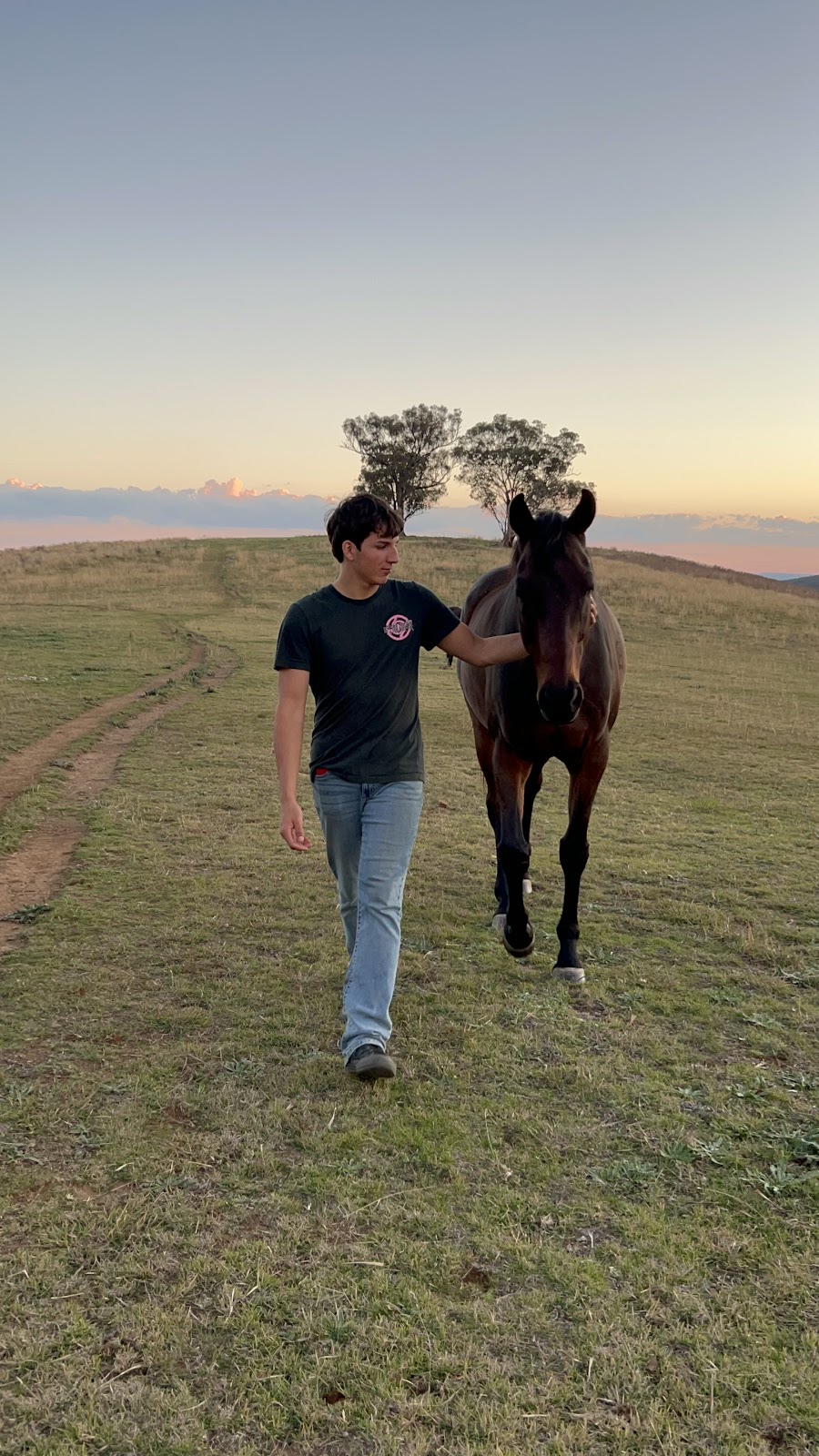 Scene and Herd | 5972 Ilford Sofala Rd, Ilford NSW 2850, Australia | Phone: 0417 651 223
