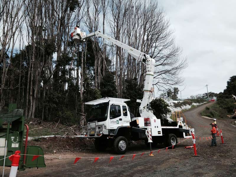 Tallow Tree Services - Byron Bay | 225 Lismore Rd, Bangalow NSW 2479, Australia | Phone: 0401 208 797