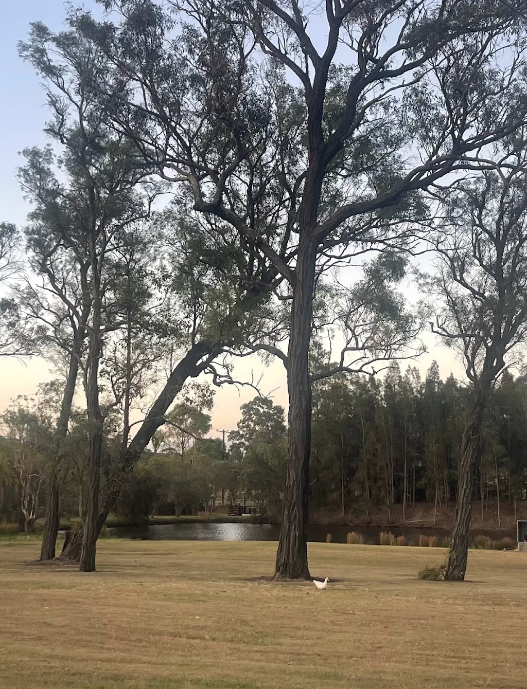Copper Creek Retreat | 96 Lomas Ln, Nulkaba NSW 2325, Australia | Phone: 0415 065 551