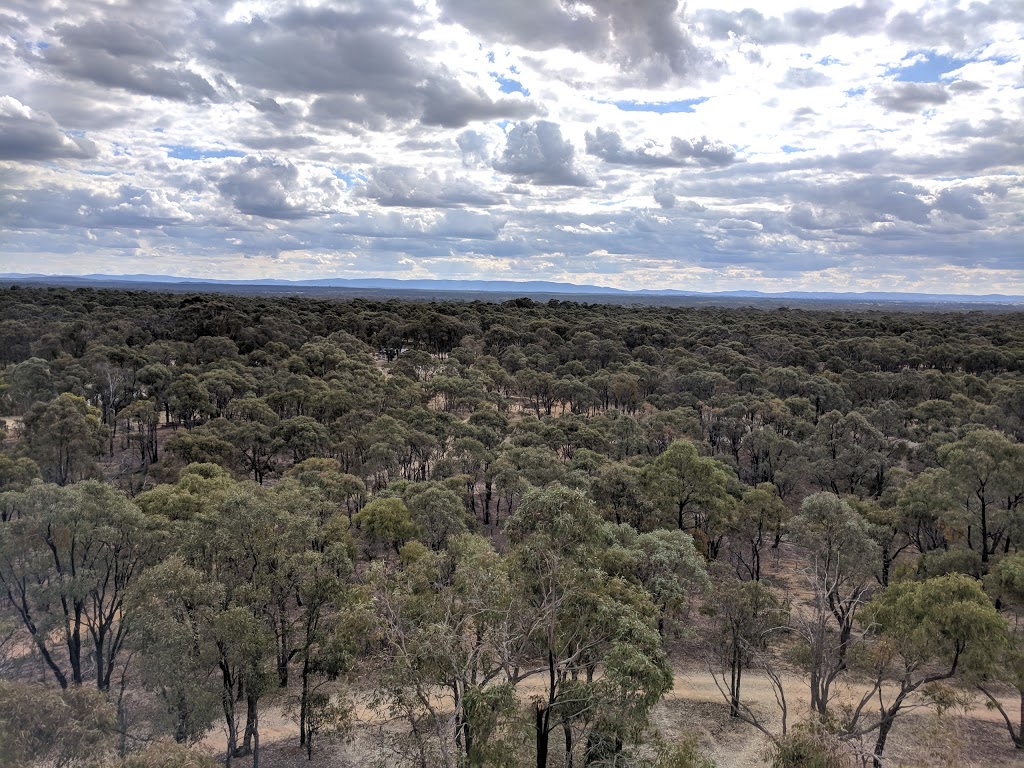 Bristol Hill Reserve | Maryborough VIC 3465, Australia