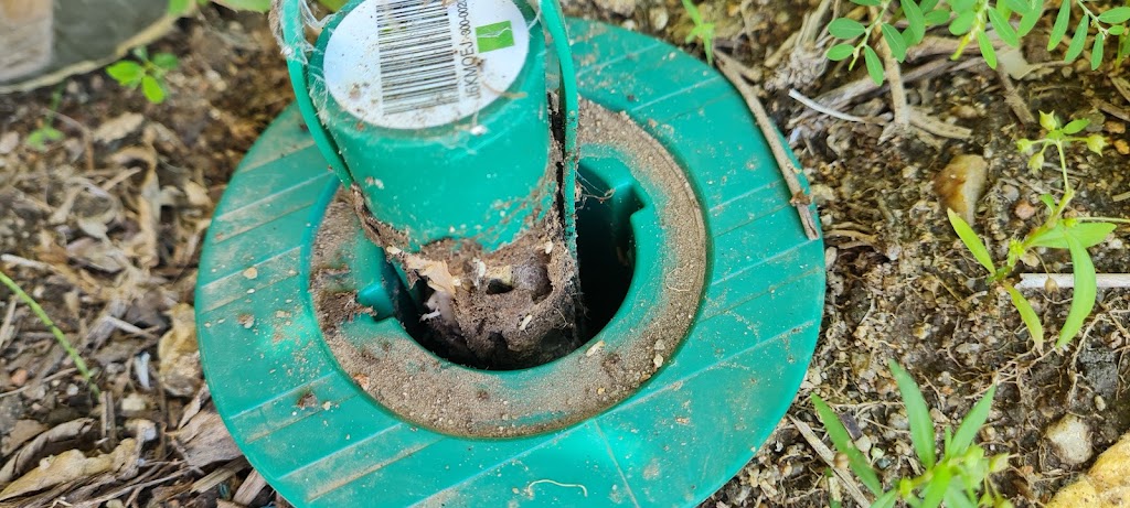 Wipeout Termites and Pests | 95 Bells Esplanade, Pelican Waters QLD 4551, Australia | Phone: 0437 122 236