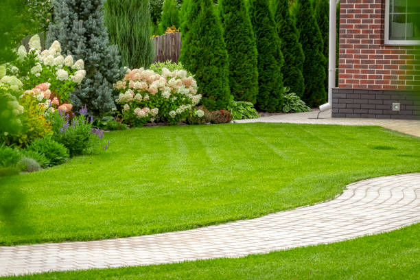 Gringo Yard And Garden Maintenance | 73 Janet St, North Lambton NSW 2299, Australia | Phone: 0468 688 967