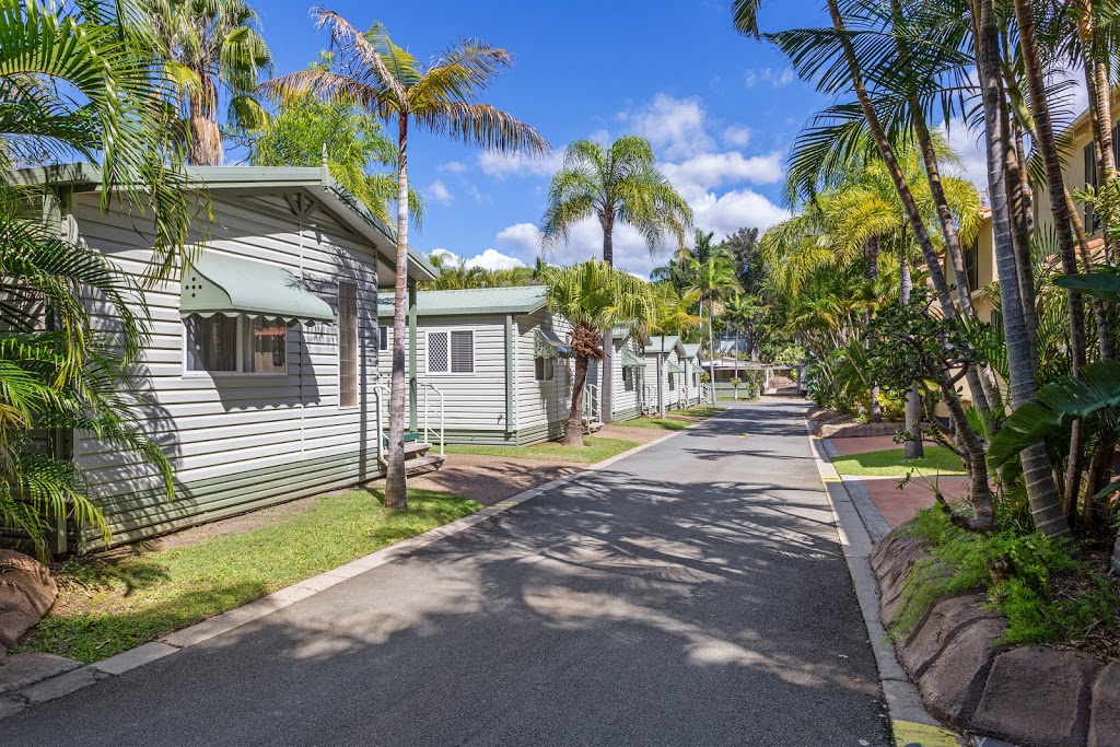 Ashmore Palms Holiday Village | 71 Hinde St, Ashmore QLD 4214, Australia | Phone: (07) 5539 3222