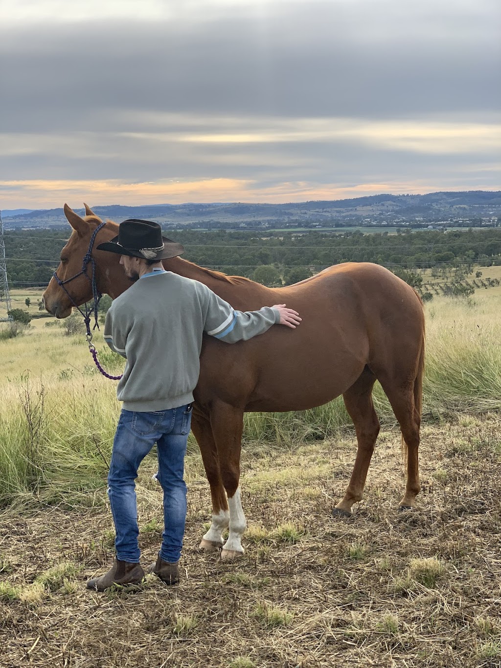 Giddy Up Farm | 2 Nelson Ln, Laidley Creek West QLD 4341, Australia | Phone: 0419 679 465
