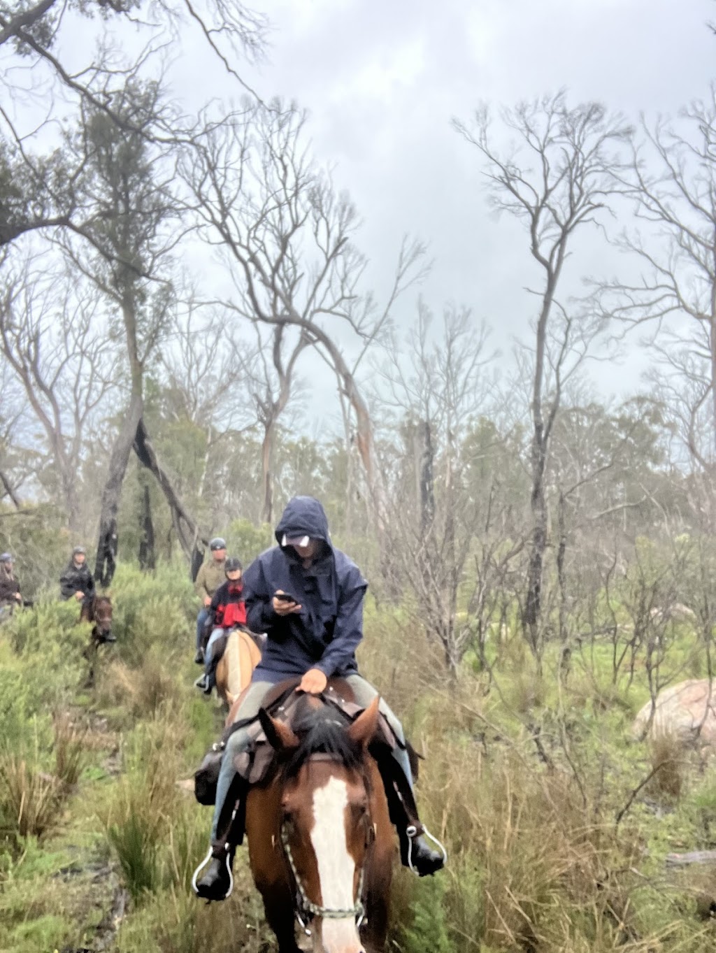 Newmarket Saddlery | 30 Main St, Cudal NSW 2864, Australia | Phone: 0414 942 227