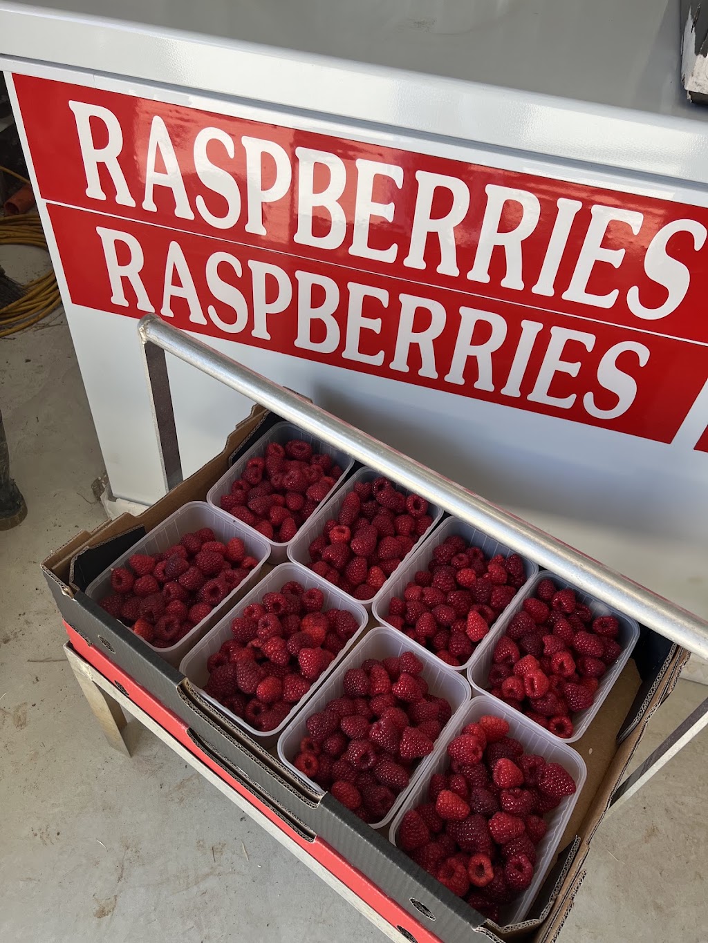 Hay Hay Berries | 165 Graham Rd, Wandin East VIC 3139, Australia | Phone: 0425 709 019