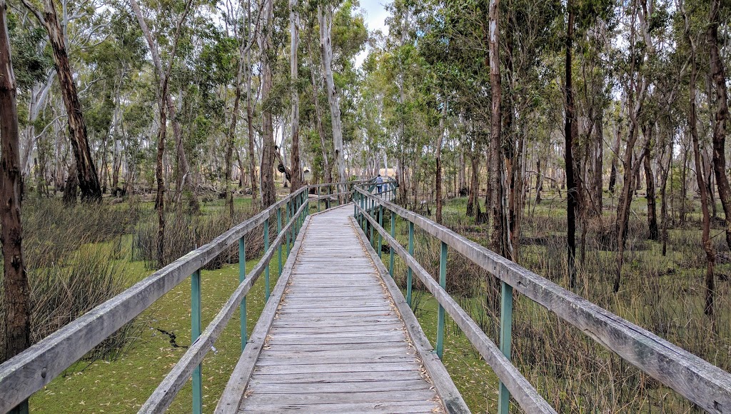 Reed Beds Bird Hide, Murray Valley National Park | Mathoura NSW 2710, Australia