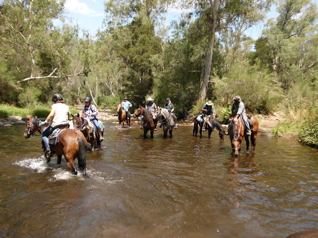 High Country Saddle Adventures | 11 Twin Creeks Rd, Pakenham Upper VIC 3810, Australia | Phone: 0418 333 186