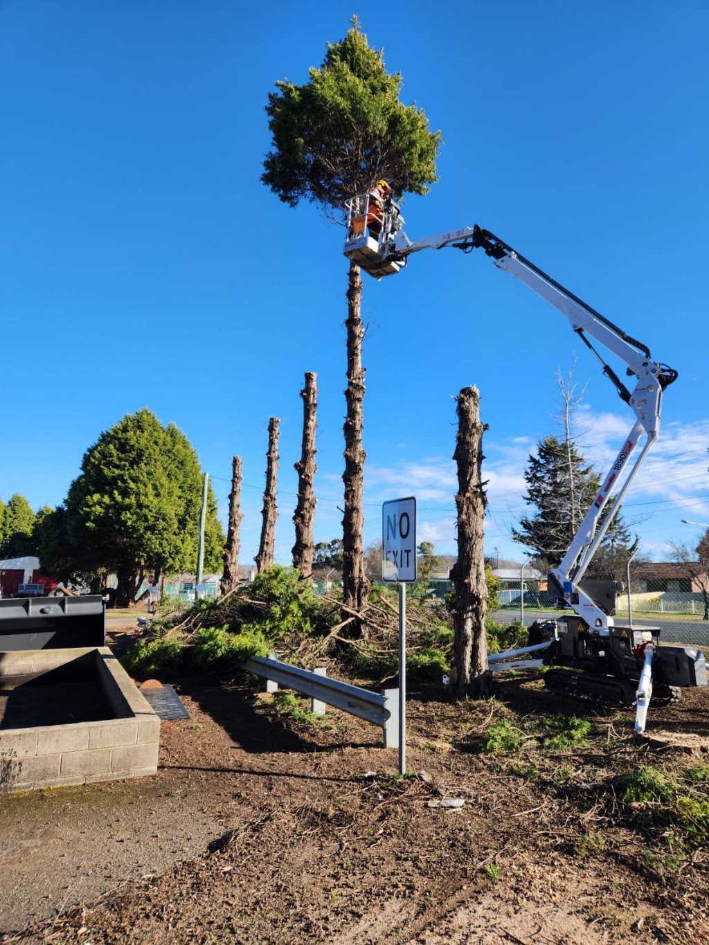 Drewys Vegetation Management | 11 Digby St, Glen Innes NSW 2370, Australia | Phone: 0420 701 696