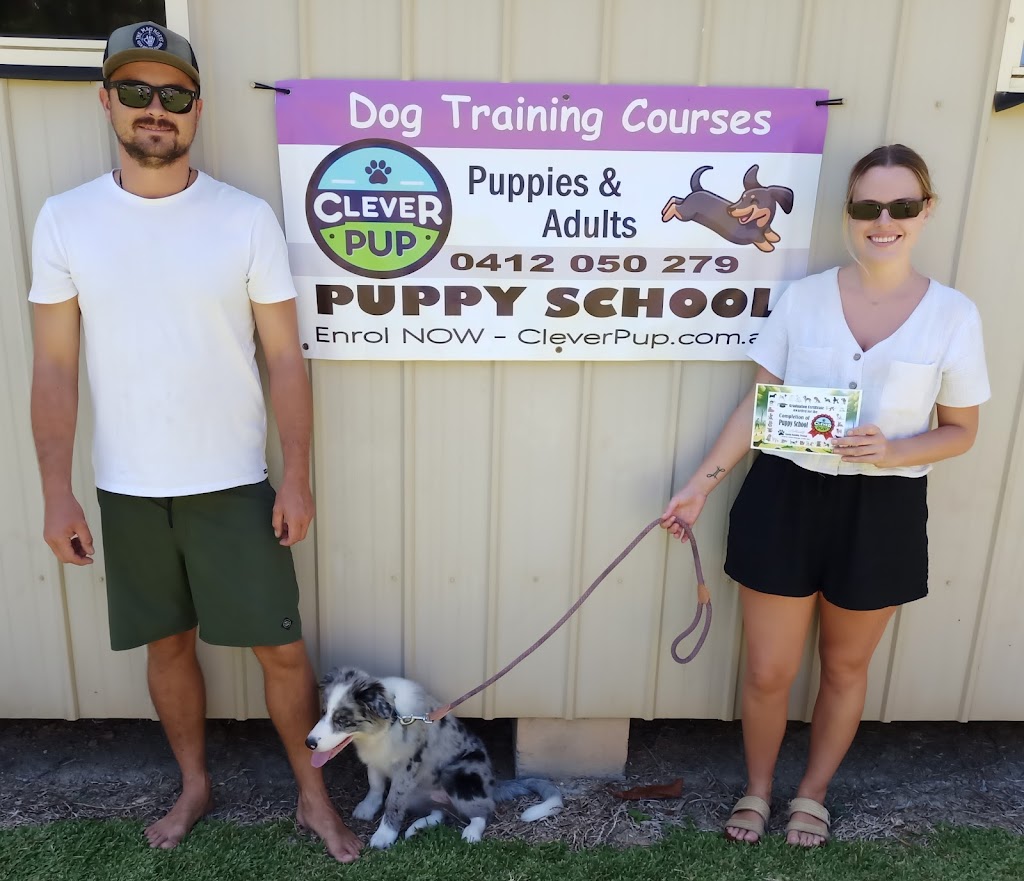 Clever Pup Dog Training, Daycare & Train plus Training Supplies | 2B Morgans Rd, Sandy Beach NSW 2456, Australia | Phone: 0412 050 279